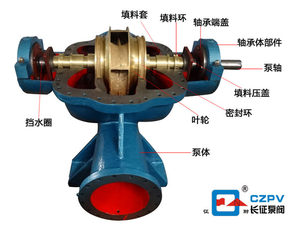 單級(jí)雙吸臥式離心泵剖面解析圖