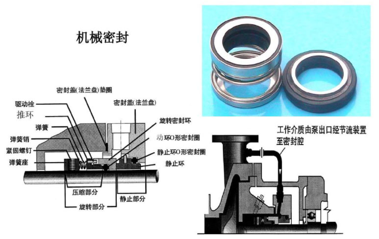 機械密封圖