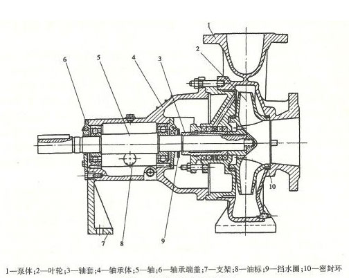 單吸泵結(jié)構(gòu)圖