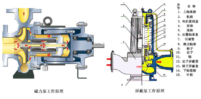 磁力泵和屏蔽泵工作原理圖