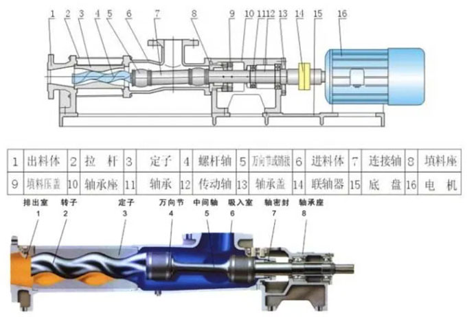 單螺桿泵結(jié)構(gòu)圖